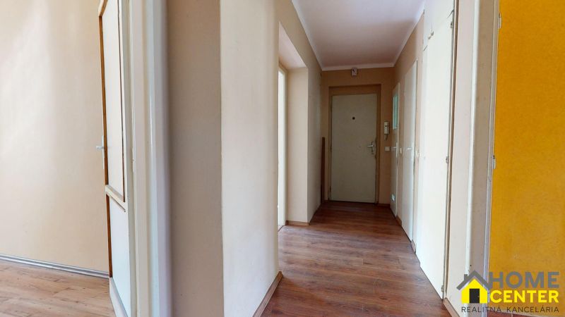 11-Damjanichova-08132026_170402.jpg